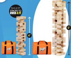 IMG 2715 1740329300 Giant Jenga